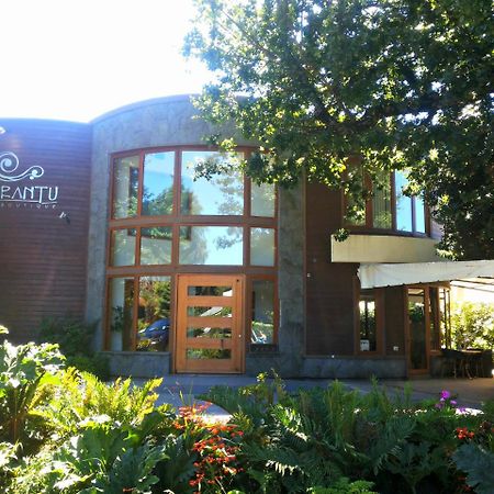 Cocurantu Hotel Boutique Pucón Zewnętrze zdjęcie