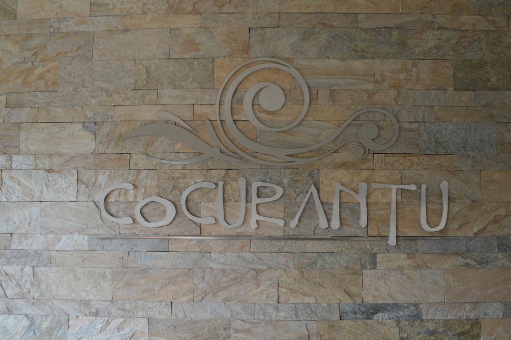 Cocurantu Hotel Boutique Pucón Zewnętrze zdjęcie